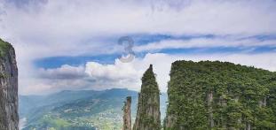 吉鹿力问答社区,情人节,你最不想收到的礼物是什么?专属答疑平台