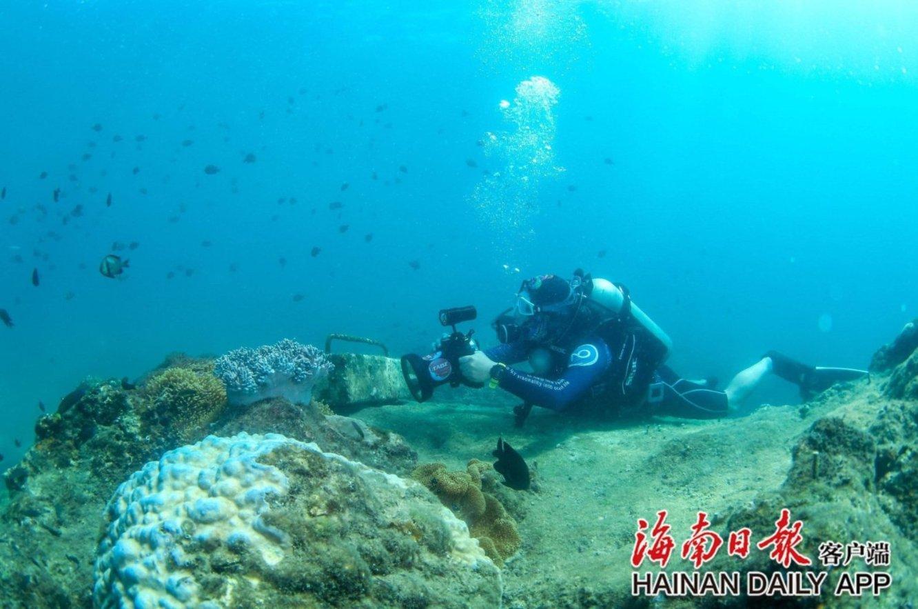hahabetcom官网星辰大海